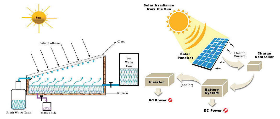 Eco-Escape Coastal Resort | Anna Stone | LARC 4540 |  Professor Nassar