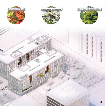 The Sanctuary | Mady Bellanca & Hayden Duncan | ARCH 8920 | Professors Albright, Heine and Ersoy