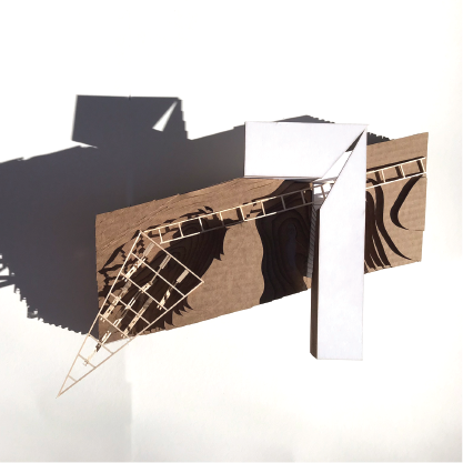 Pointing Projection | Scott Dillon | ARCH 2510 | Professor Terim