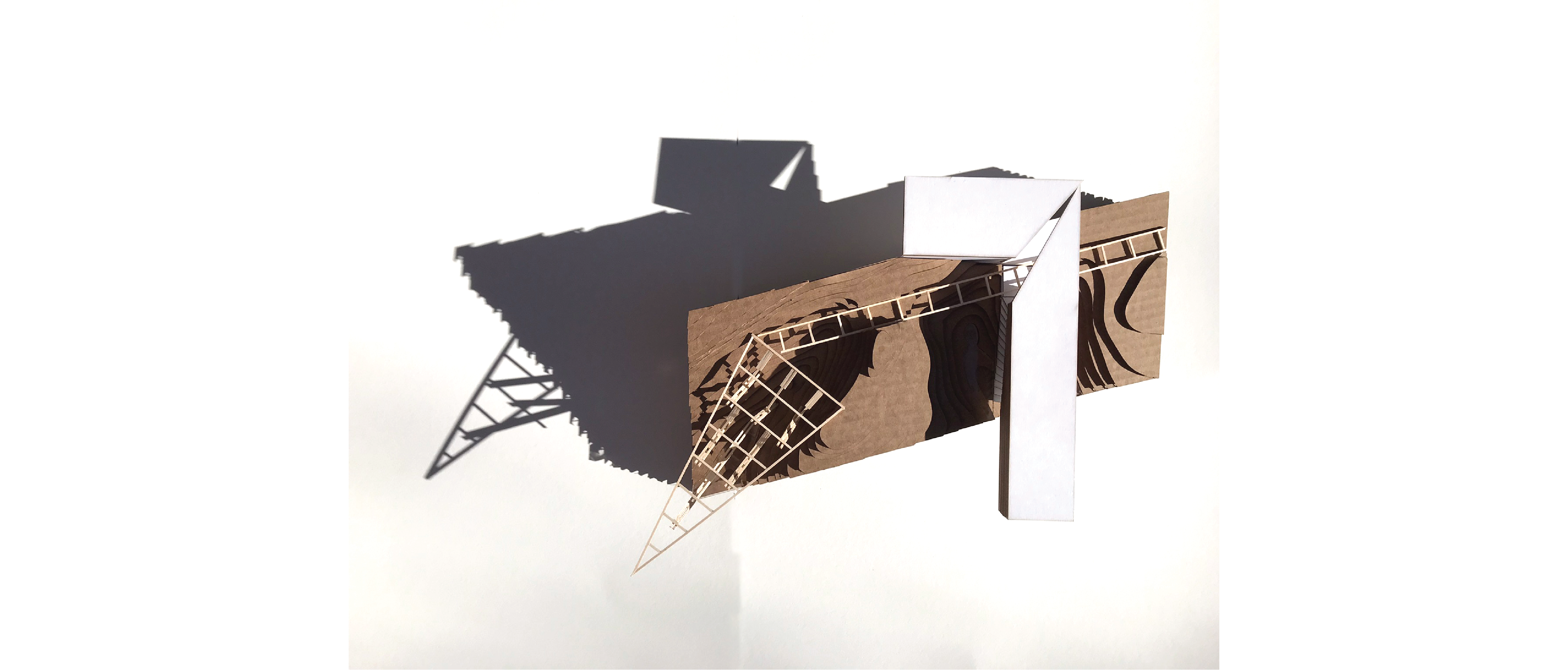 Pointing Projection | Scott Dillon | ARCH 2510 | Professor Terim