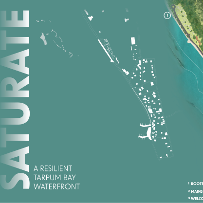 Saturate | Kai Koopman | LARCH 8010 | Professor Nassar