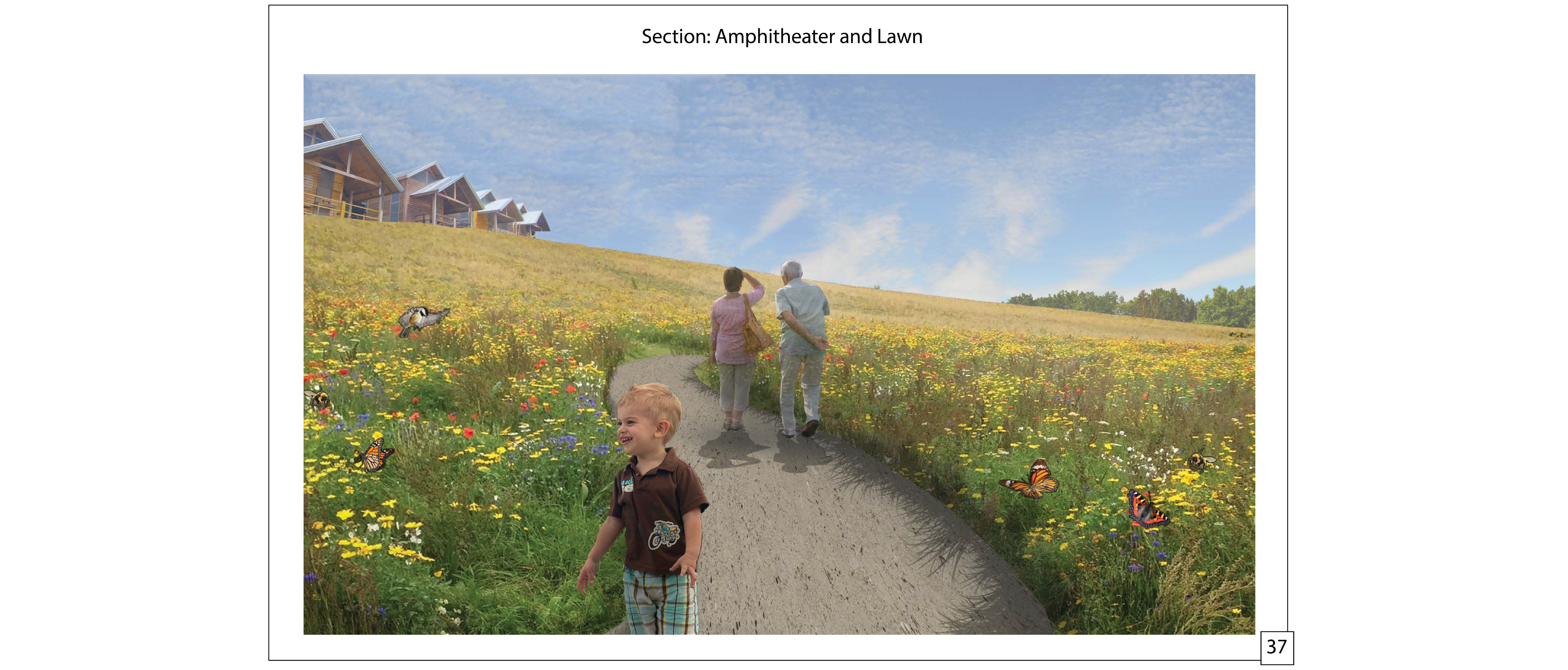 SAHC Regional Master Plan and Community Farm Design | Molly Foote | LARC 351 | Professor Browning