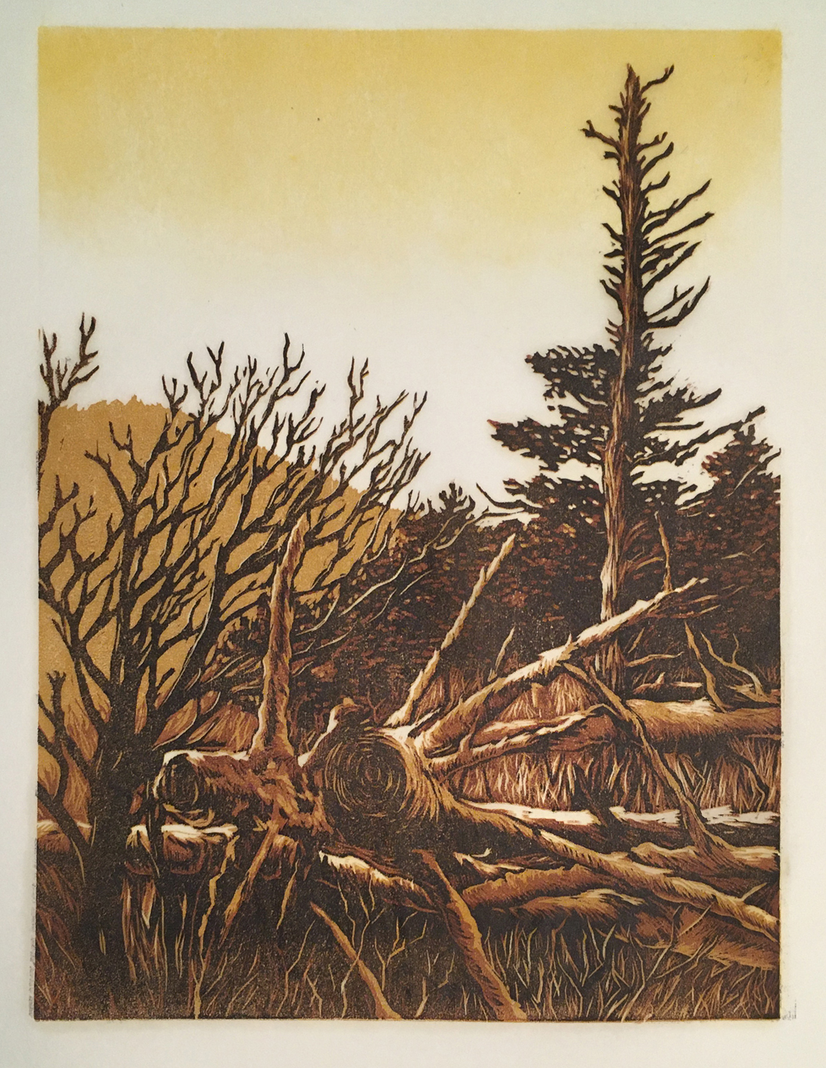 Mandy Ferguson | MFA 2018 | Clearning, Mt. Mitchel | Reduction Woodcut