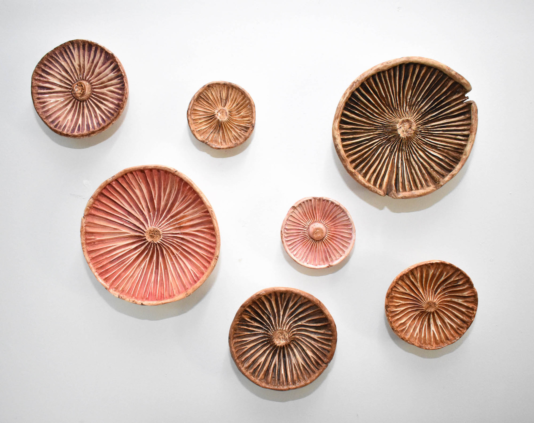 Nina Kawar | MFA 2014 | Agaricales | Porcelain