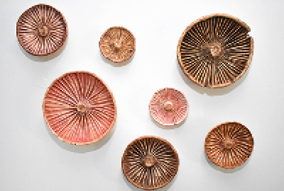 Nina Kawar | MFA 2014 | Agaricales | Porcelain