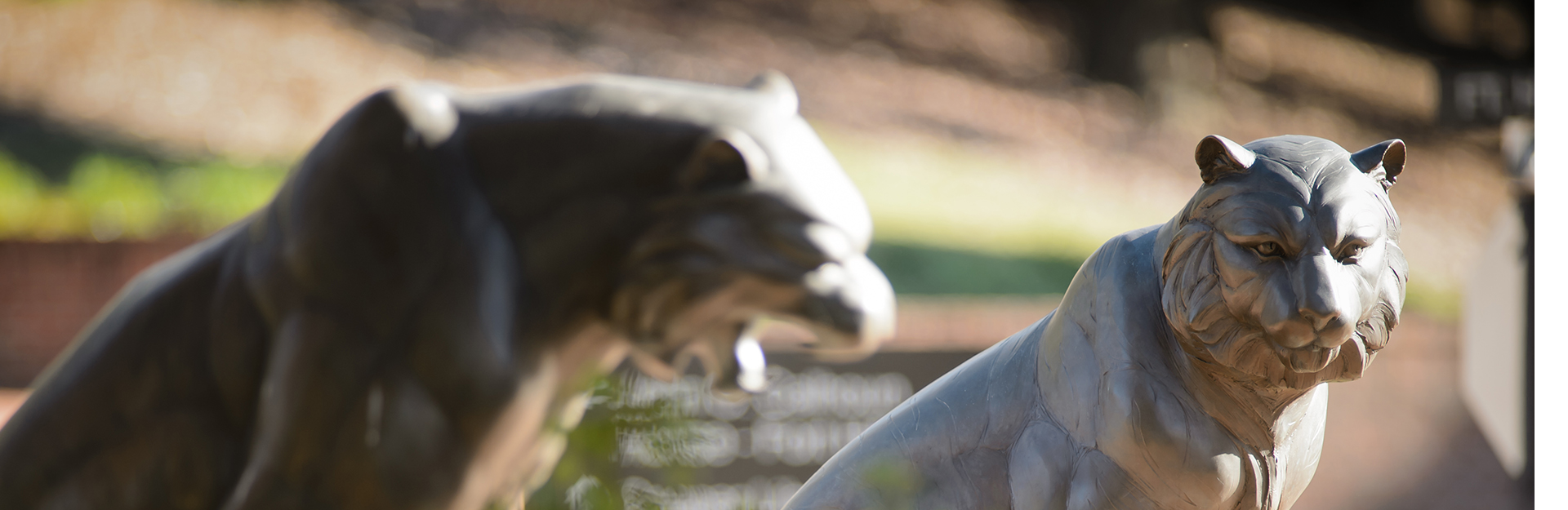 MCRP Alumni Header. Bronze Tiger statues on Clemson's main campus.