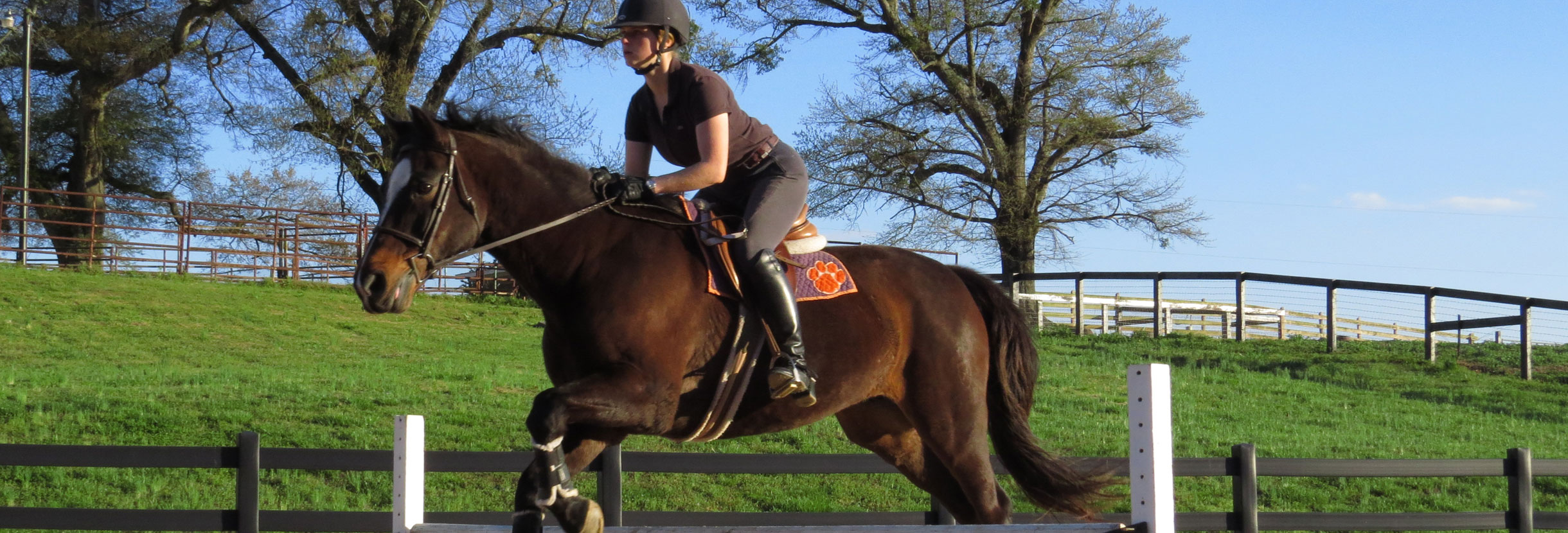 Clemson University Equine Center College of Agriculture, Forestry and