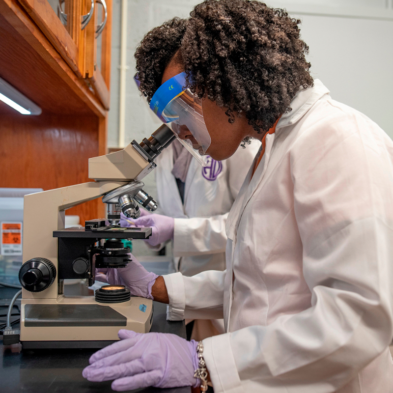 students and faculty looking into a microscope for breast cancer research