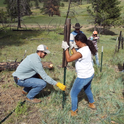 David Jachowski and student fixing a fence