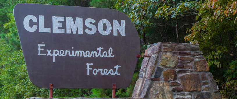 clemson experimental forest sign