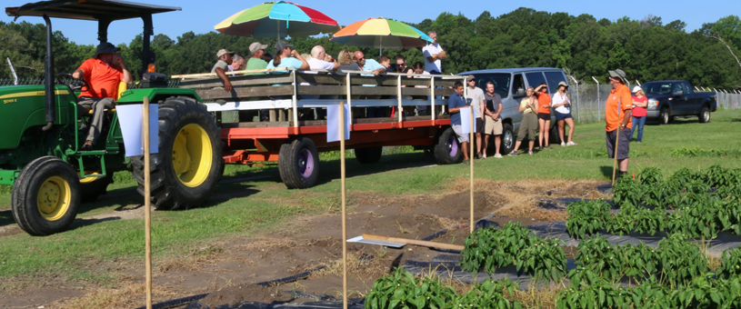 Growers' Field Day at Coastal Research & Education Center, Charleston, S.C.