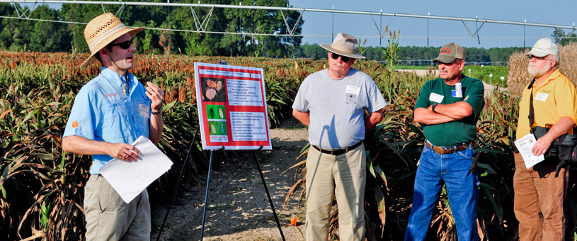 Francis Reay-Jones speaking to growers at a Pee Dee Research & Education Center Field Day