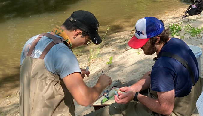 Students collecting research samples beside a stream