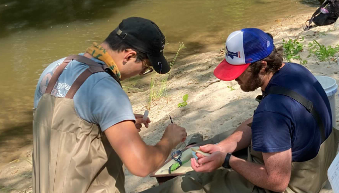 students doing field research beside a stream