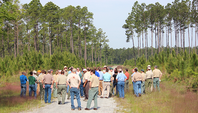 Group in forest