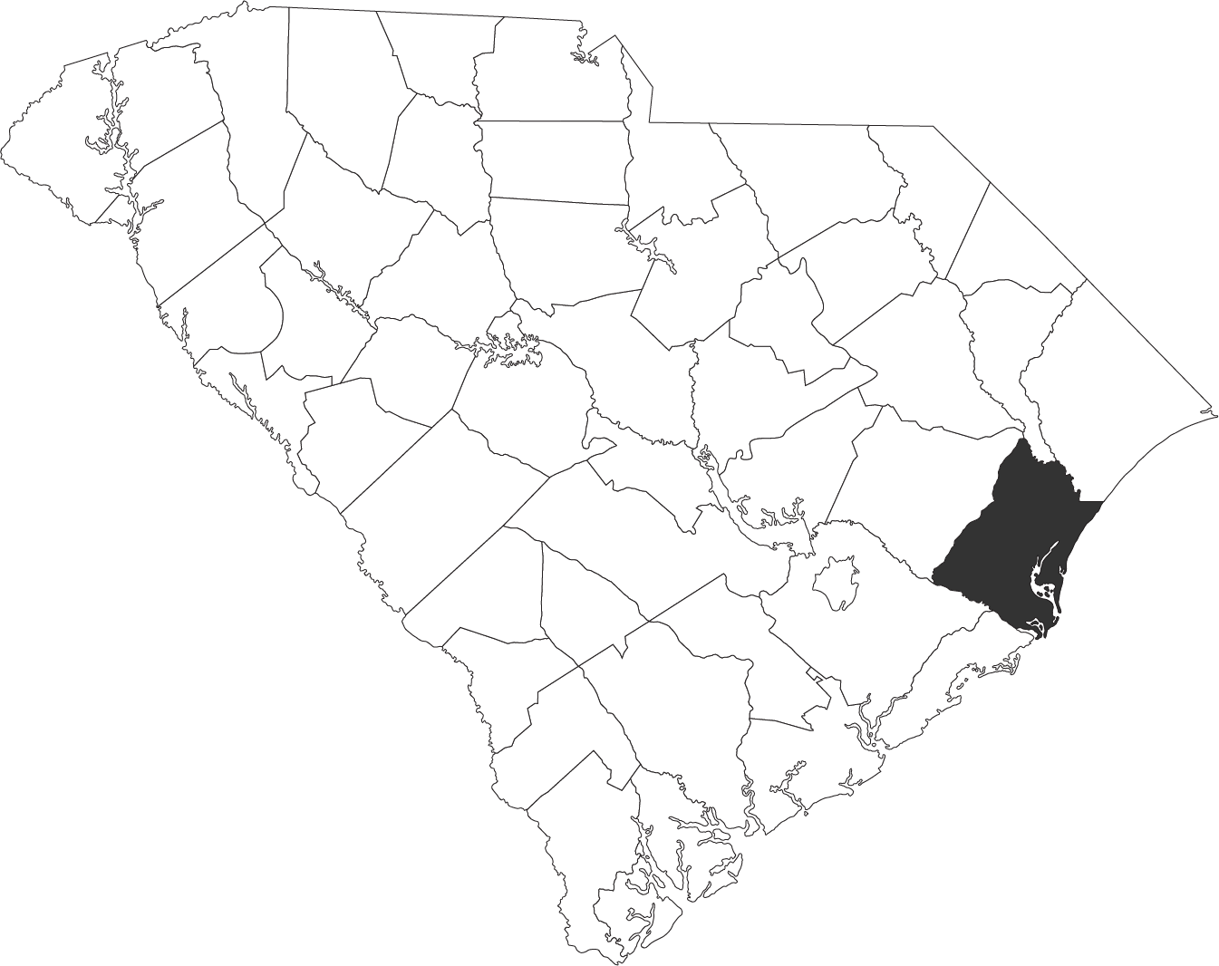 outline of a south caorlina map with only georgetown county filled in