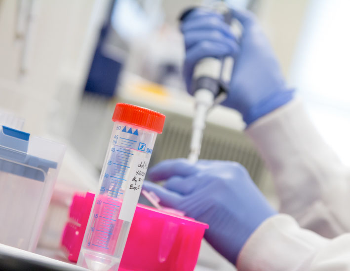 gloved hands holding a test tube and pipette