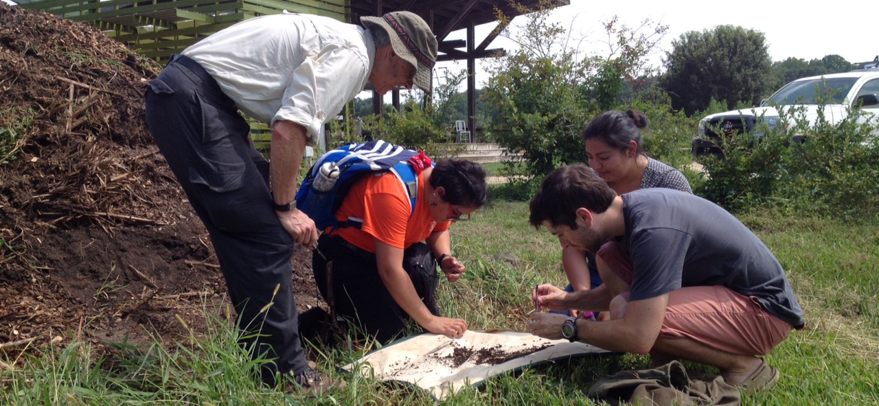 entomology students with a professor looking at specimens.jpeg