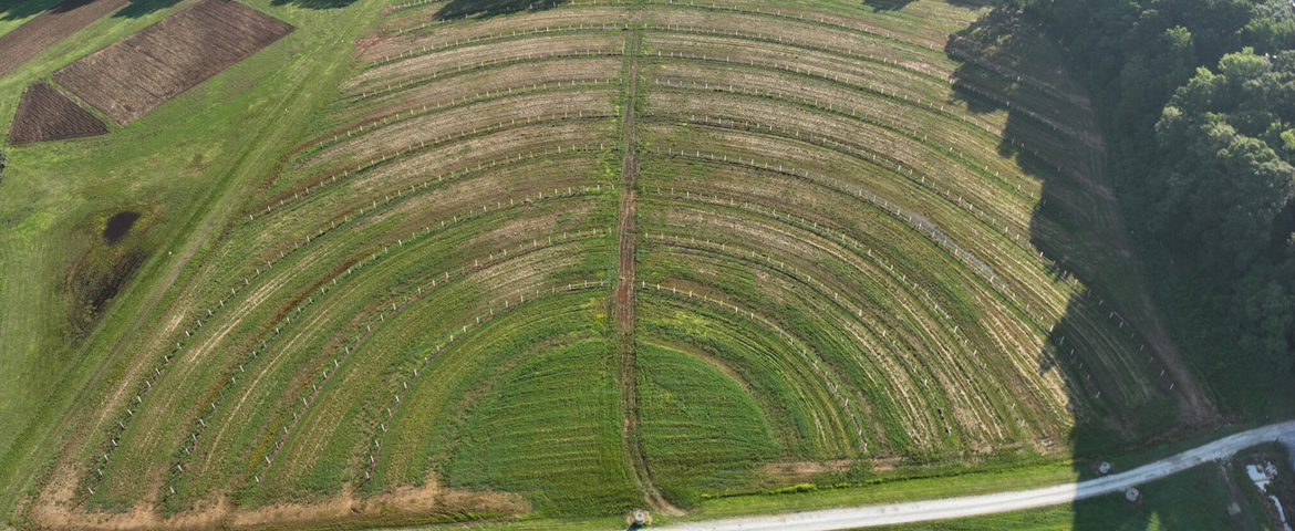 aerial of crops at clemson university