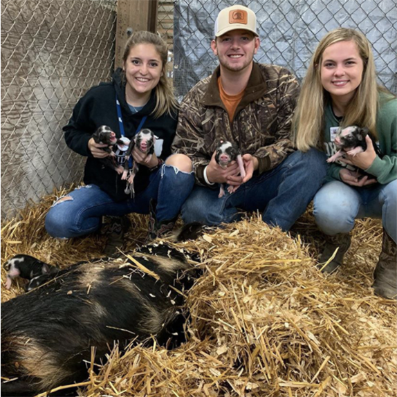 coeds holding piglets