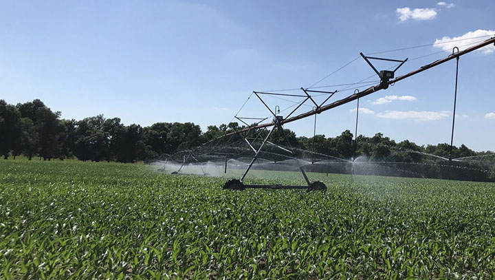irrigation system in use over field