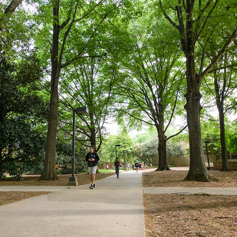 students walking to class in agriculture quad