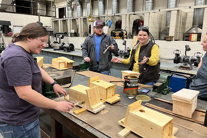 students building bird houses