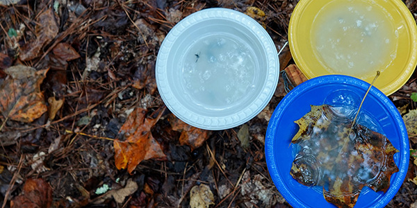 colored bowls filled with soapy water