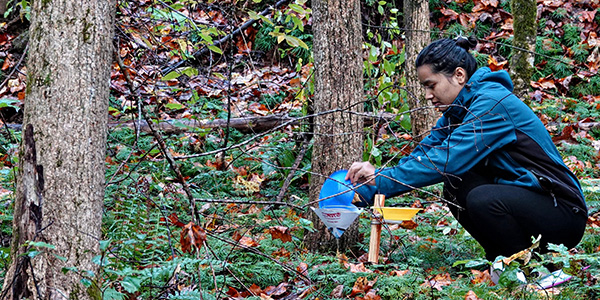 person filling bowl with water