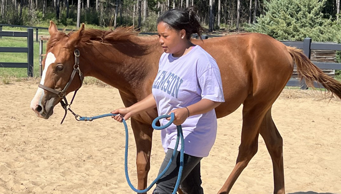 Clemson University student Lizz Sampson, a senior studying psychology with a minor in equine industry who is also an Air Force medic, works with Claire, one of several rehabilitated horses at the Wild Hearts Equine Therapy Center