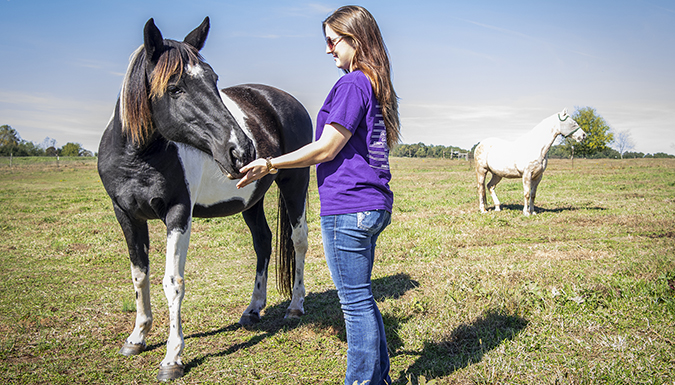 Lizz Sampson, a senior gives some love to Claire, one of several rehabilitated horses at the Wild Hearts Equine Therapy Center 