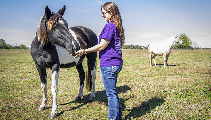 Lizz Sampson, a senior gives some love to Claire, one of several rehabilitated horses at the Wild Hearts Equine Therapy Center