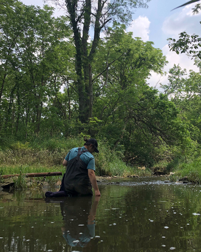 scientist wearing waders walking though swamp