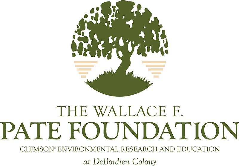 pate foundation logo