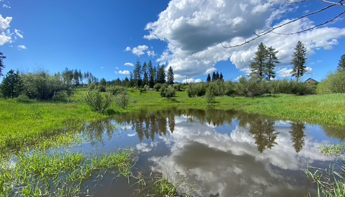 small stream with grass and cattails and mountains in the distance