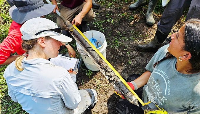 cows grazing on grasses in the forest floor