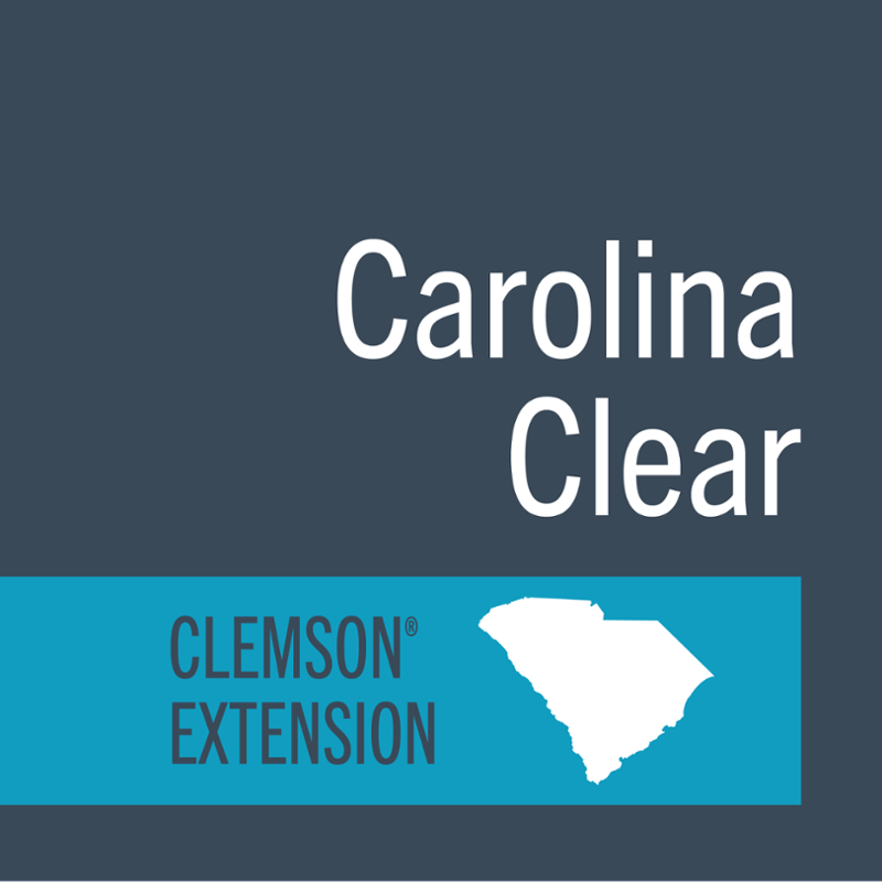 Carolina Clear social media icon