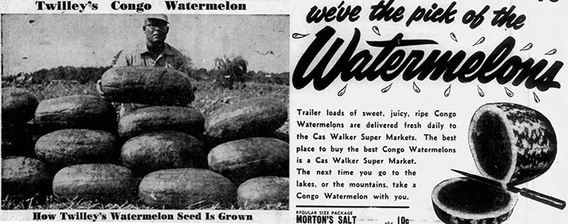 1955 April 15,The Daily Times, Salisbury, Maryland; (right) 1955 July 21,The Knoxville Journal, Knoxville, TN