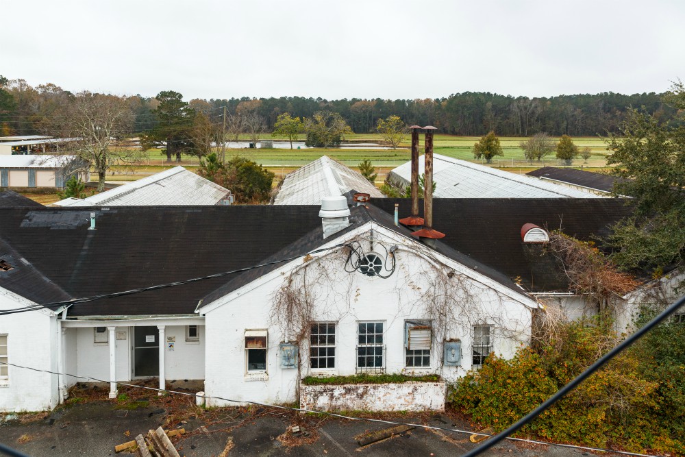 Building 1 North (primary) facade