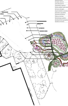 Rain Garden Design by Fraser and Lombardo