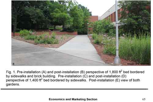 South Carolina Nursery Association