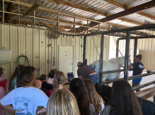 equine camp instructor working with a horse in a stall
