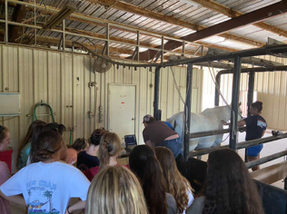 equine camp instructor working with a horse in a stall 