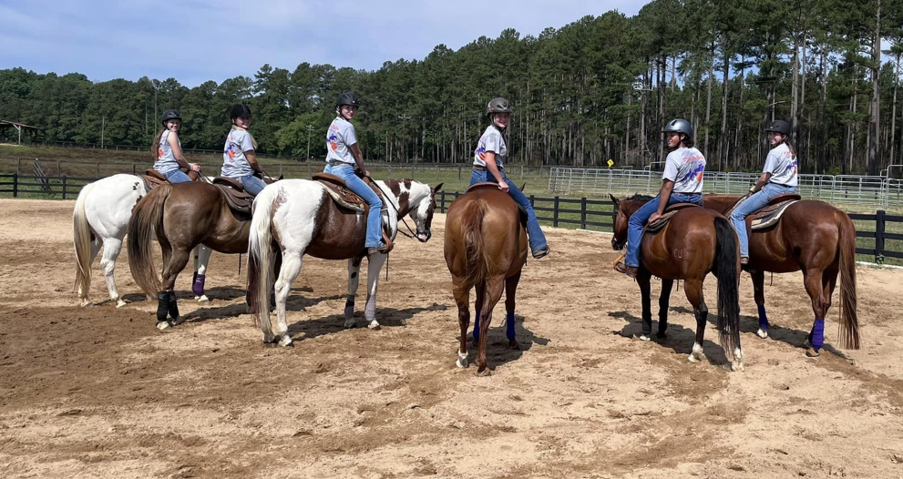 group of tigers reign camp participants on horses