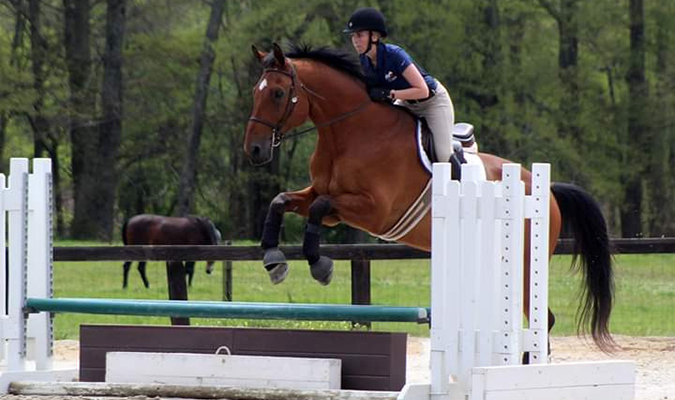 bay horse and rider sailing over an oxer jump with a green field in the background