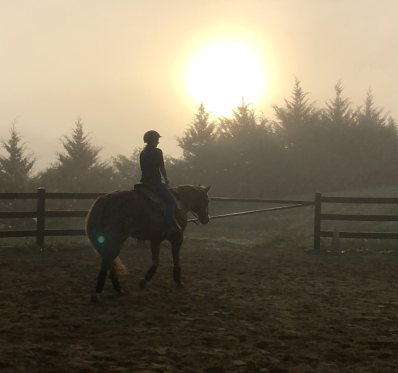 female riding a horse in the early morning as the sun rises