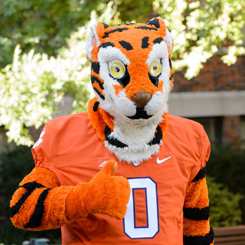 clemson tiger mascot, headshot placeholder