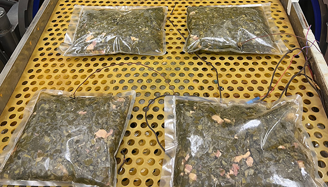 low acid foods in ziplock bags