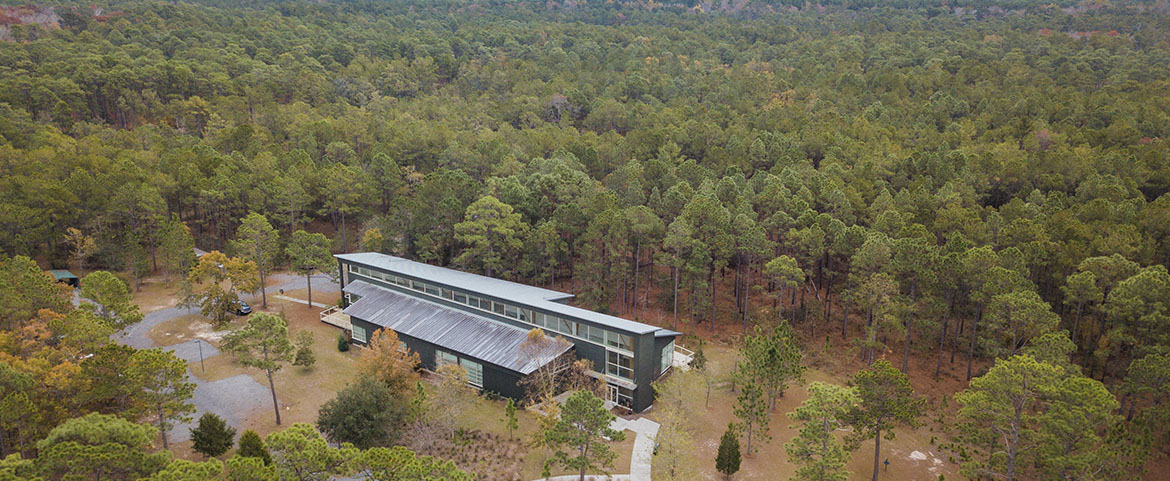 Aerial view of Baruch Institute and surrounding forest.