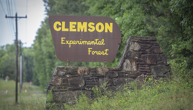Clemson Experimental forest sign in front of forest